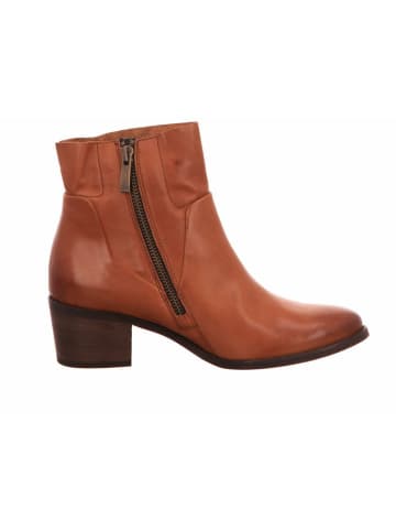 Paul Green Stiefeletten für Damen in cognac