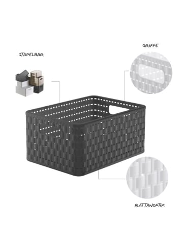 Rotho Country 3er-Set Aufbewahrungskiste 11l in Rattan-Optik in Anthrazit