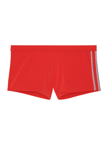 HOM Badeshorts Nautical Cup in Rot