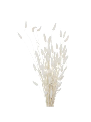 Boltze Deko-Zweige in weiß