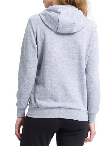 erima Kapuzensweatjacke in grau melange