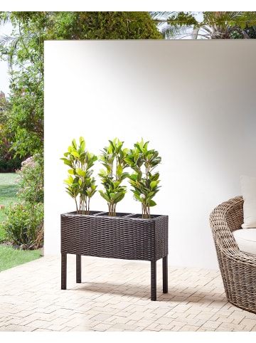 Beliani Outdoor Blumentopf CARAGANA in Braun - (W) 77 x (H) 58 x (L) 28 cm