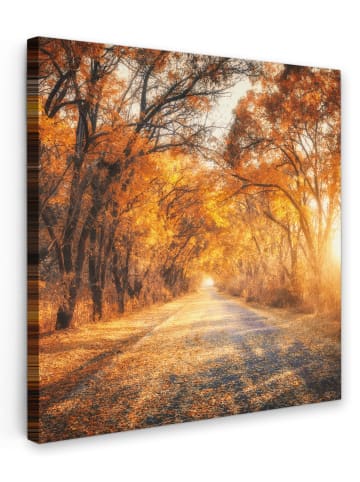 MuchoWow Leinwand Bilder Waldweg