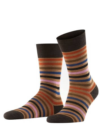 Falke Socken Tinted Stripe in Canvas