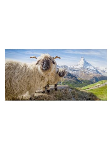 WALLART Leinwandbild - Schwarznasenschafe von Zermatt in Blau