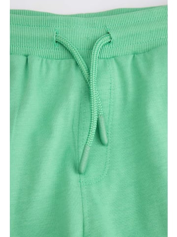 Coccodrillo Kurze Baumwollshorts in grün