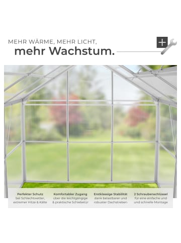 tectake Treibhaus aus Aluminium, UV-beständig, 185x250x195cm