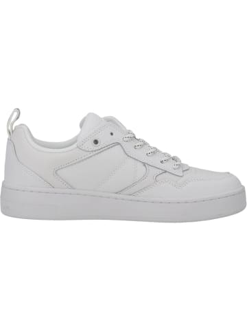 Calvin Klein Schnürschuhe in Triple White