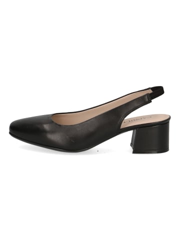 Caprice Pumps in Schwarz