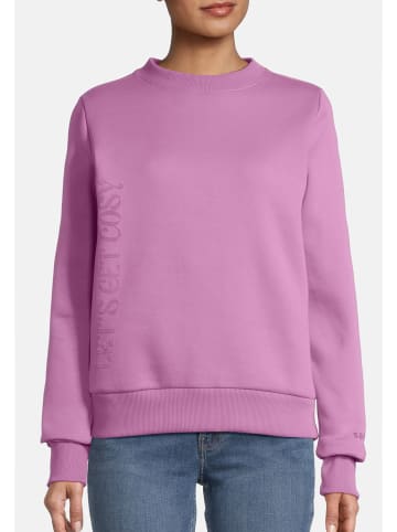 Salzhaut Sweatshirt SCHAOPSWULLE in Pale