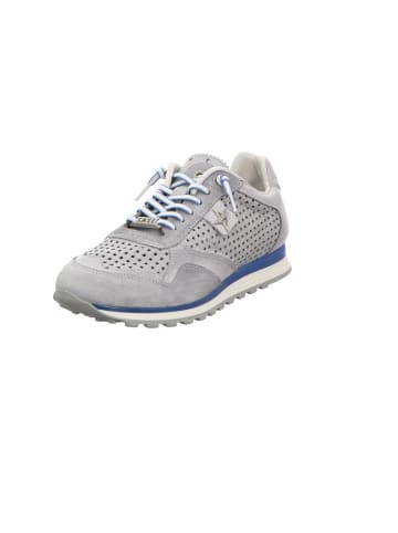 Cetti Sneaker in grau