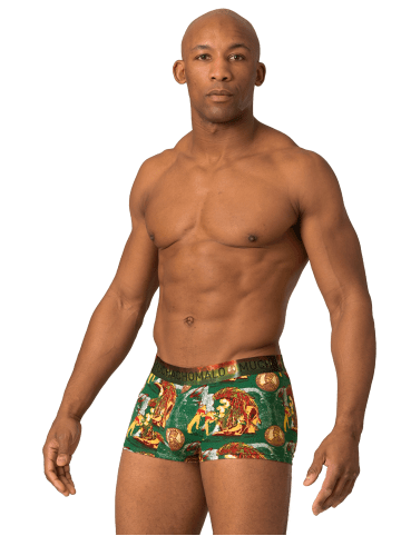 Muchachomalo 2er-Set: Boxershorts in Multicolor/Green