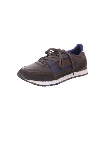 LLOYD Sneaker für Herren in braun