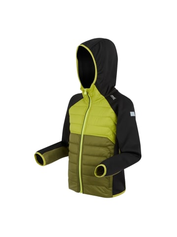 Regatta Kielder IX Hybrid Jacke in Lime