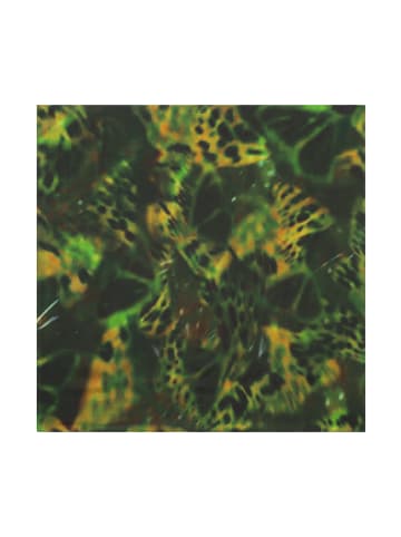 Bolongaro Trevor Modeschal BUTTERFLY in PIQUANT GREEN
