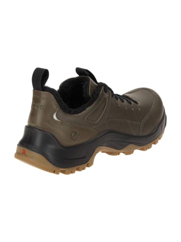 Ecco Komfort Schnürschuhe in Grün