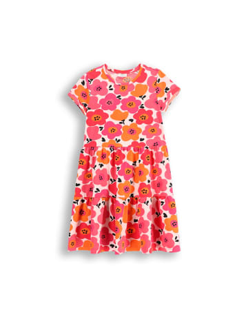 Coccodrillo Kleid in bunt