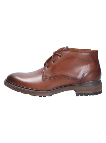 LLOYD Stiefel VIBE 325 in braun
