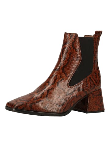 Wonders  Stiefelette in Cognac