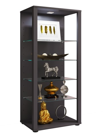 VCM  Holz Glas Stand Vitrine Sammelvitrine Glasol lll in Schwarz