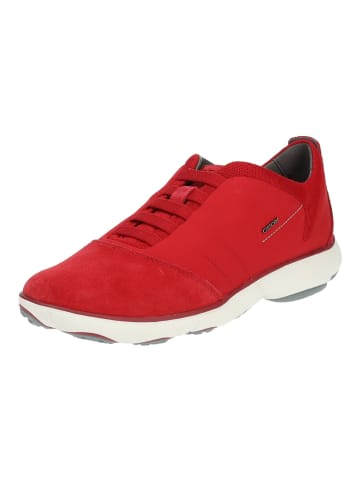 Geox Sneaker in Rot