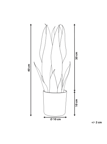Beliani Kunstpflanze SNAKE PLANT in Grün/Schwarz - (W) 10 x (H) 40 x (L) 10 cm