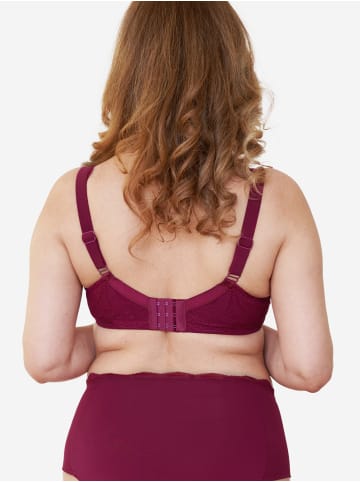 SugarShape BH Clara Lace in bordeaux