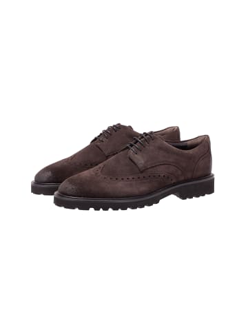 JOOP! Lace Up 'Velluto New Danilo Brogue in Dunkelbraun'