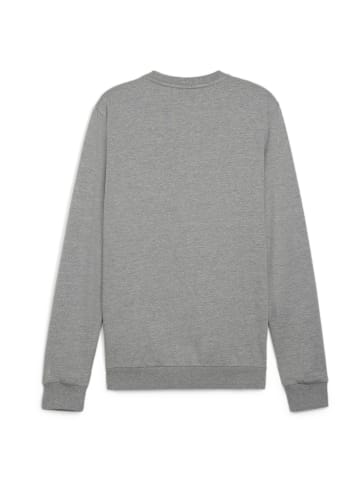 Puma Sweatshirt teamGOAL Casuals Crew Neck Sweat in grau