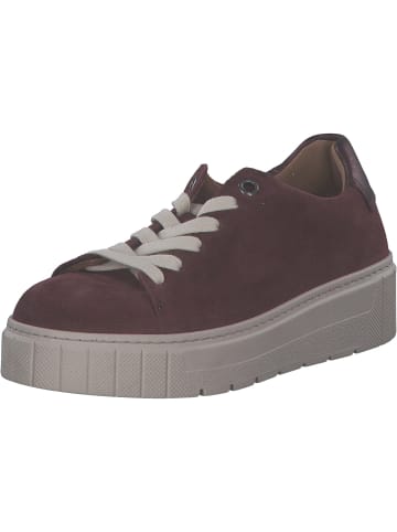 Gabor Comfort Schnürschuhe in merlot/mulberry