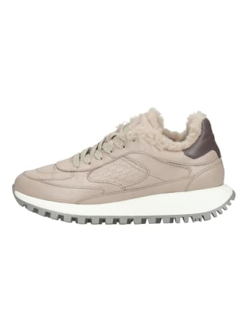 LLOYD Sneaker Grau