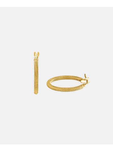 Vanlere Creolen aus 375 Gelbgold
