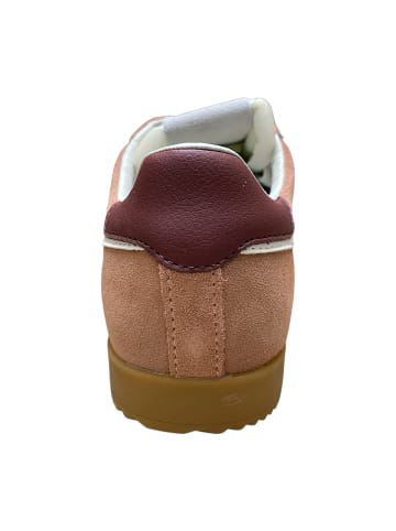 Gola Sportliche Schnürschuhe in Rosa