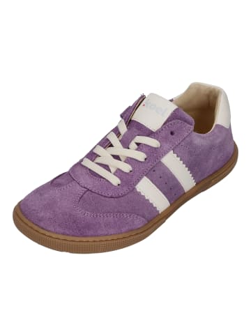 KOEL Sneaker Low DECLAN SUEDE in lila