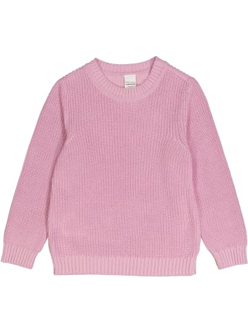 Fred´s World by GREEN COTTON Strickpullover in Pastel