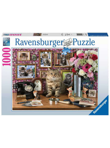 Ravensburger Puzzle 1.000 Teile Meine Kätzchen Ab 14 Jahre in bunt