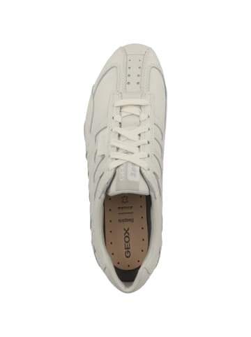 Geox Sneaker low U Snake Original B in weiss