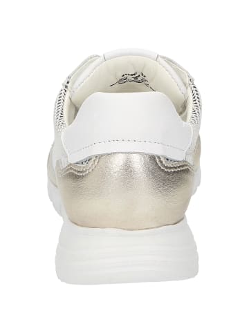 Sioux Sneaker Mokrunner-D-017 in gold