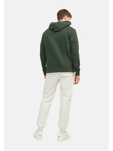 Jack & Jones Hoodie 'Corp Logo' in grün