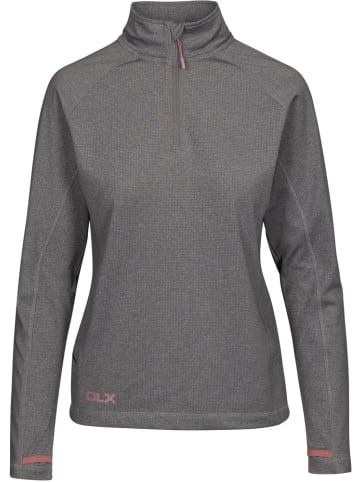 DLX Longsleeve "Theresa" in Grau