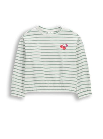 Coccodrillo Langarmshirt mit Streifen in grün