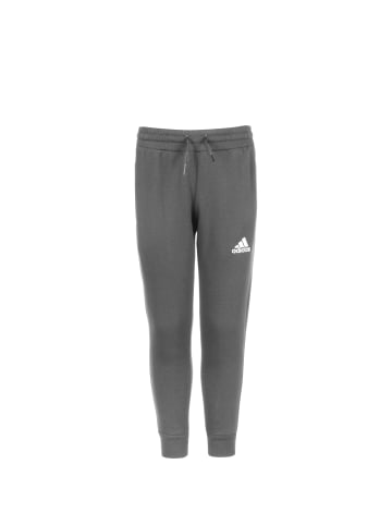 adidas Performance Trainingshose Entrada 22 in grau