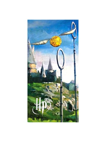 Harry Potter Strand-/Badetuch Harry Potter Quidditch - (L) 140 cm x (B) 70 cm in Bunt