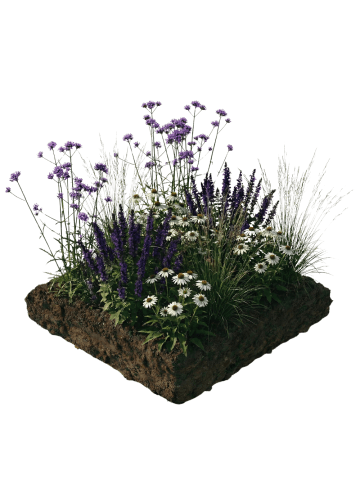 NatureNest Staudenpaket Joy mehrjährig blühend für Garten & Beet in Mix