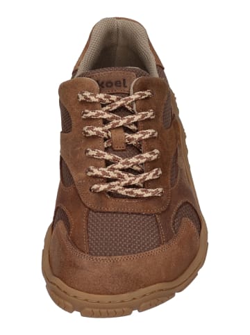 KOEL Sneaker Low RALPH in braun