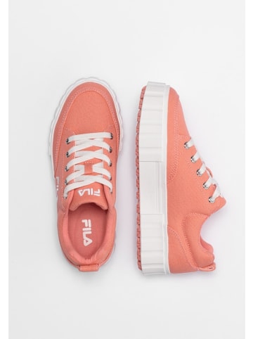 Fila Sneaker "Sandblast C Women" in Pink