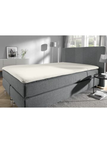 Erwin Müller Single-Jersey Topper-Spannbettlaken Freising in wollweiß