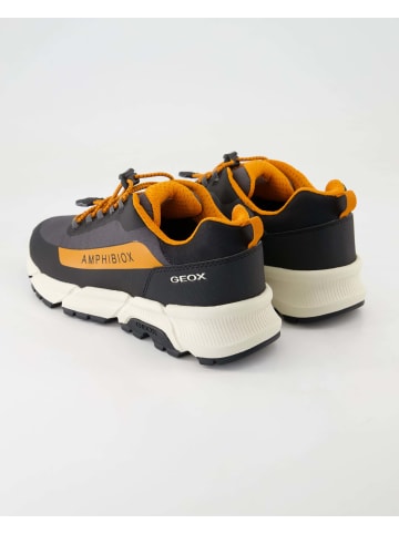 Geox Schnürschuhe in Grau