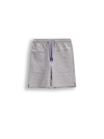 Coccodrillo Kurze Hosen in grau