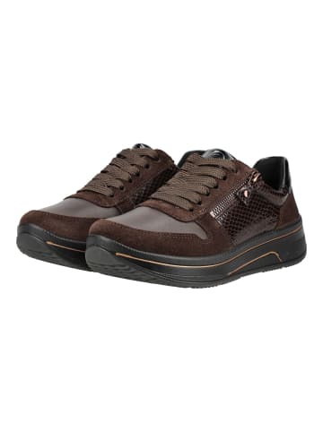 ara Sneaker SAPPORO 3.0 Caffee